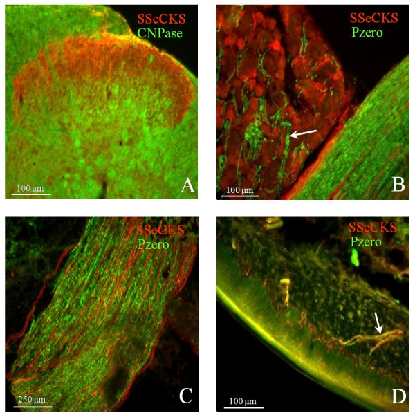 figure 1_41