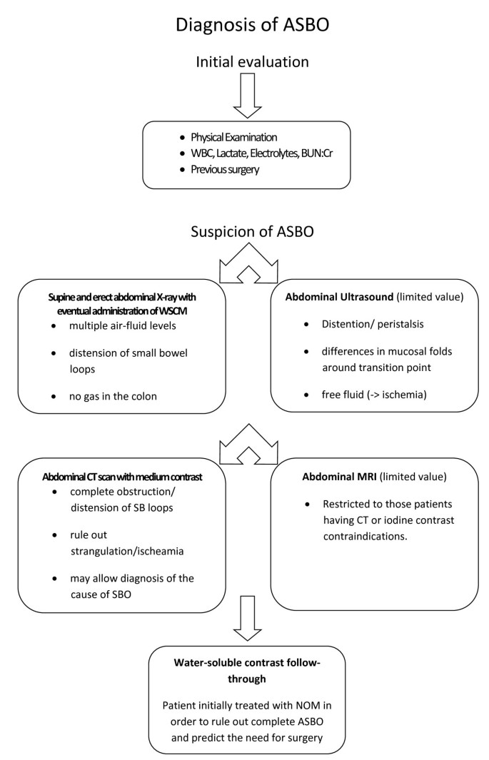 PDF) Development of a Web-Based Nonoperative Small Bowel Obstruction  Treatment Pathway App