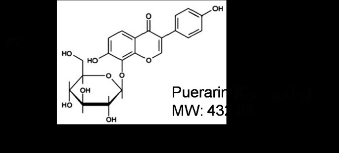 Puerarin Promotes Osteogenesis And Inhibits Adipogenesis In Vitro Chinese Medicine Full Text