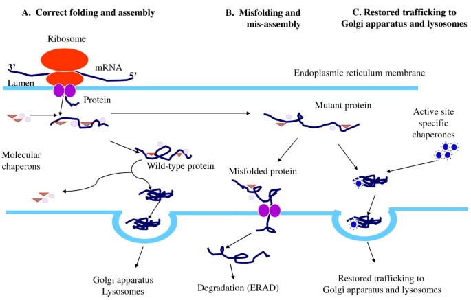 figure 32