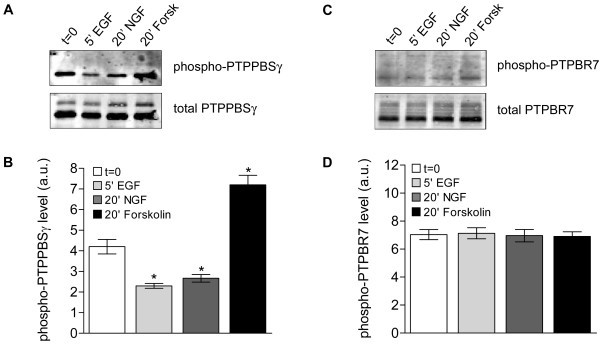 figure 5_4