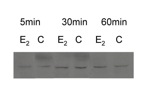 figure 8_5