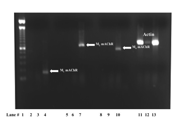 figure 1_7