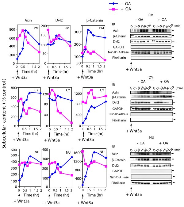 figure 5_20