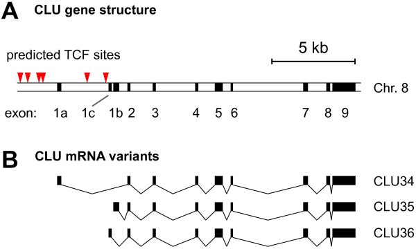 figure 5_14