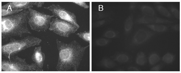 figure 1_16