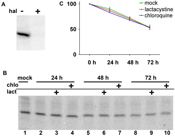 figure 5_16