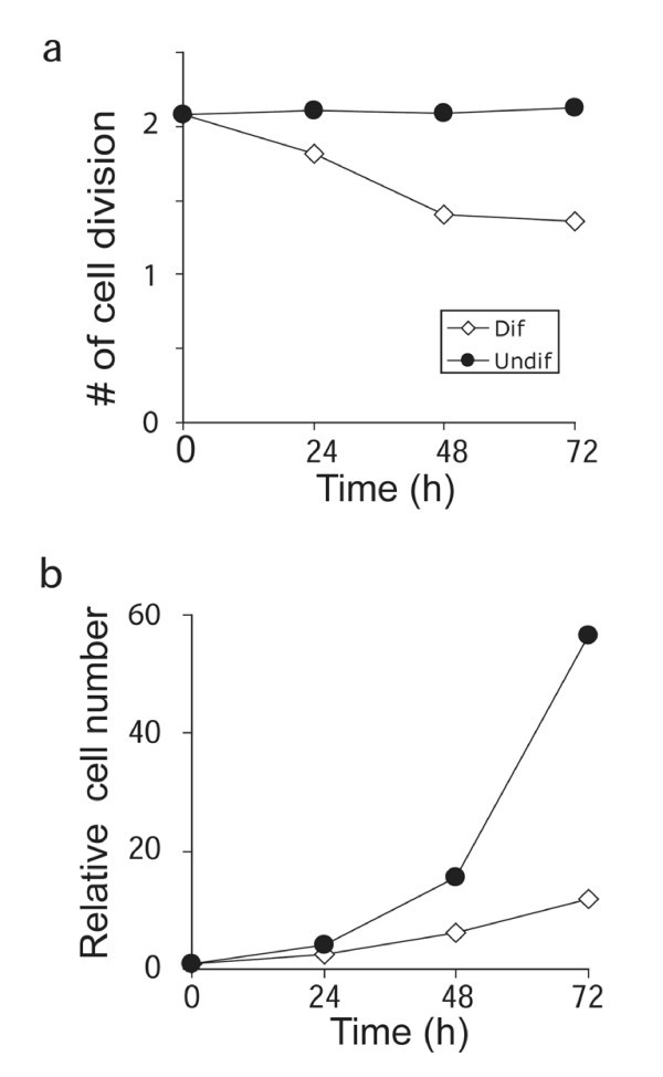 figure 1_17