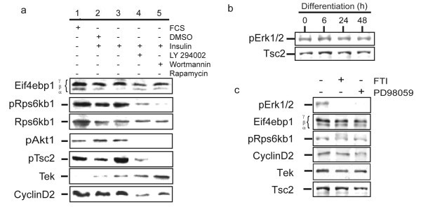 figure 5_17