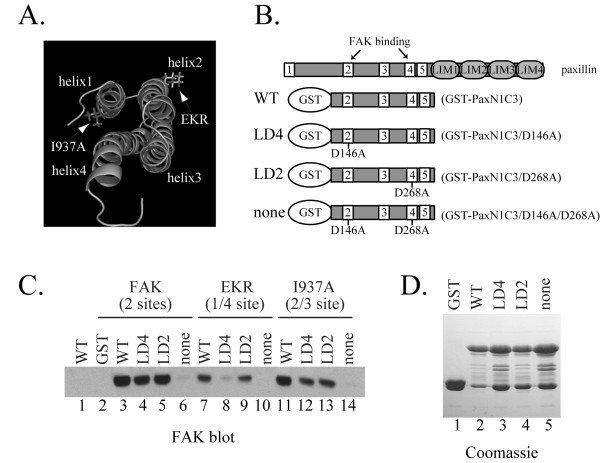 figure 1_22