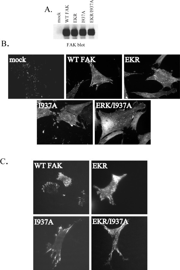 figure 2_22