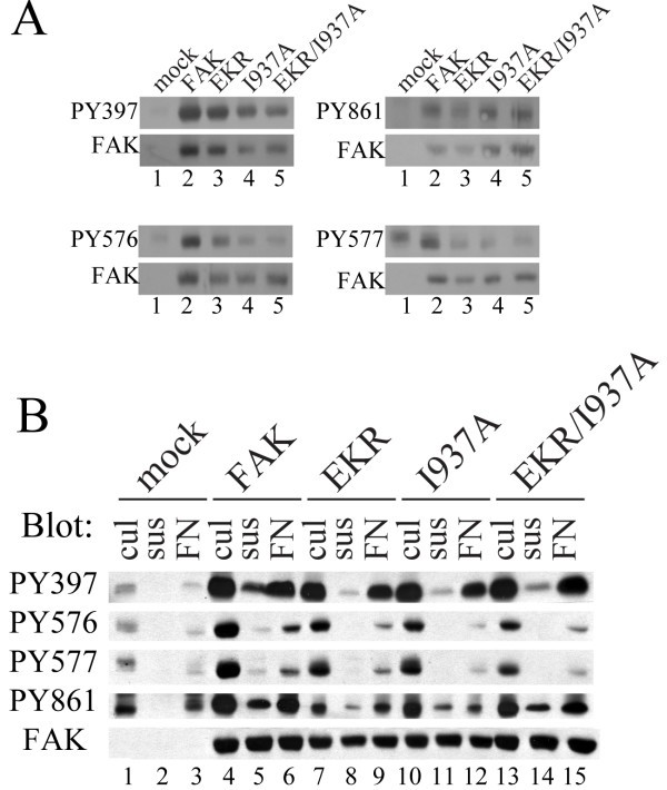 figure 4_22