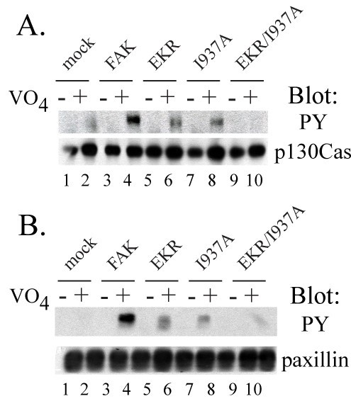 figure 5_22