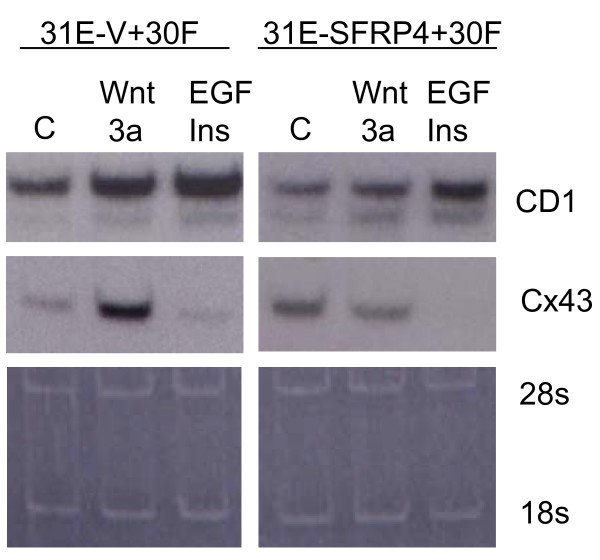 figure 6_31