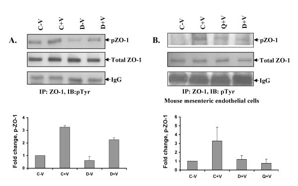 figure 6_35