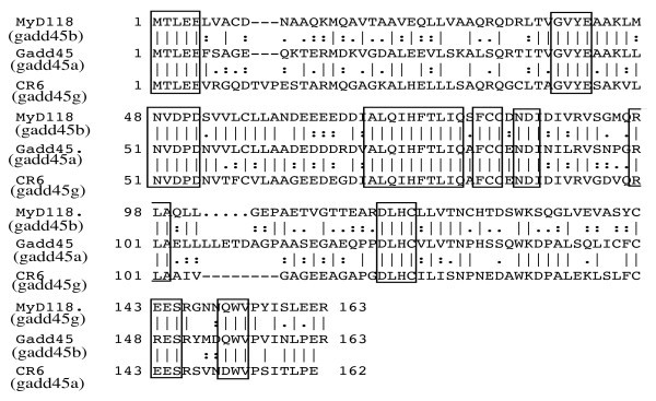 figure 1_36