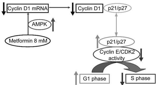 figure 5_39