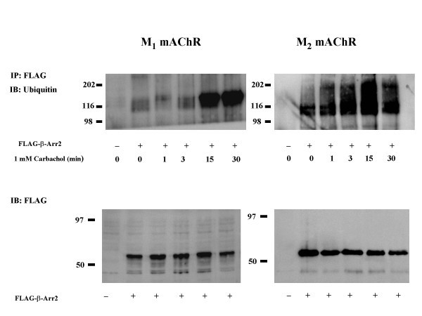 figure 3_41