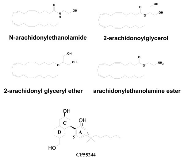 figure 1_26