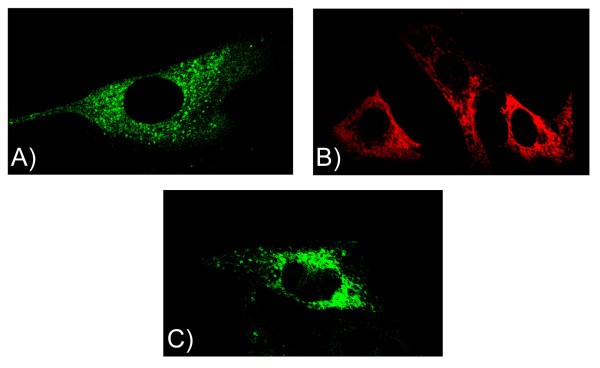 figure 1_27