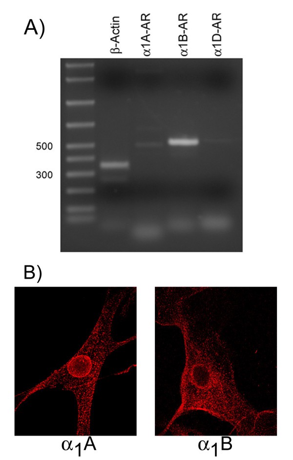 figure 2_27