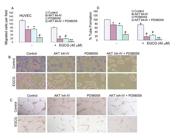 figure 2_28