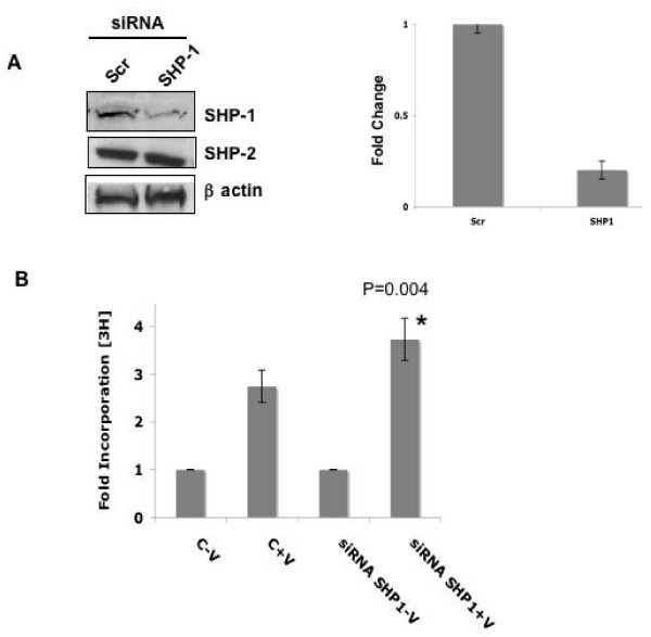 figure 4_29