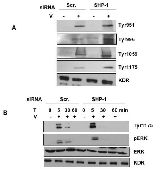 figure 5_29