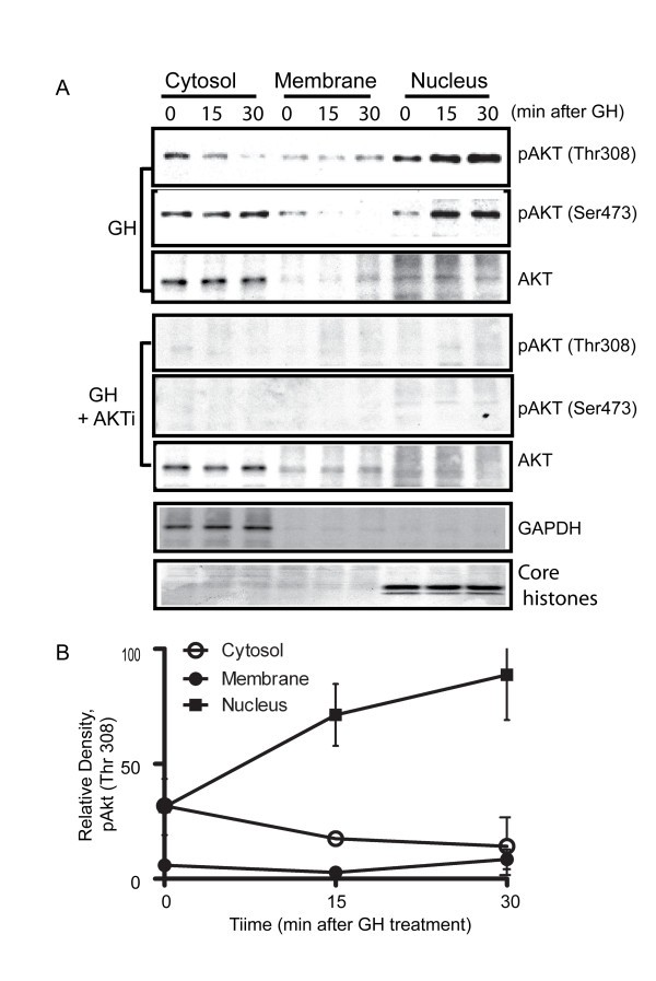 figure 1_42