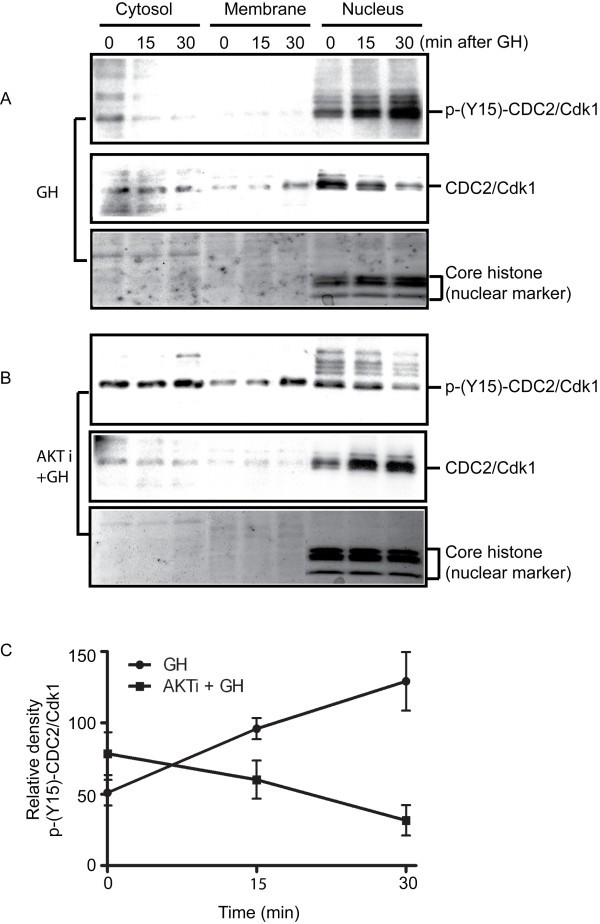 figure 6_42