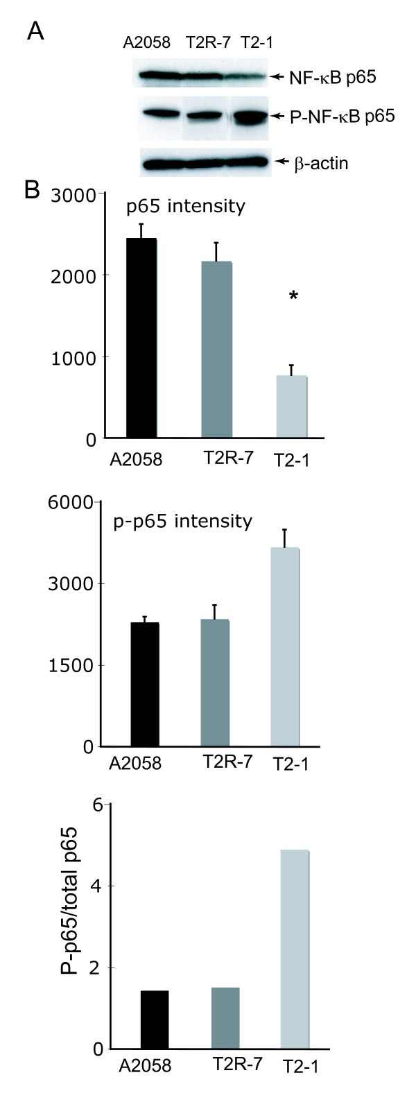 figure 3_45