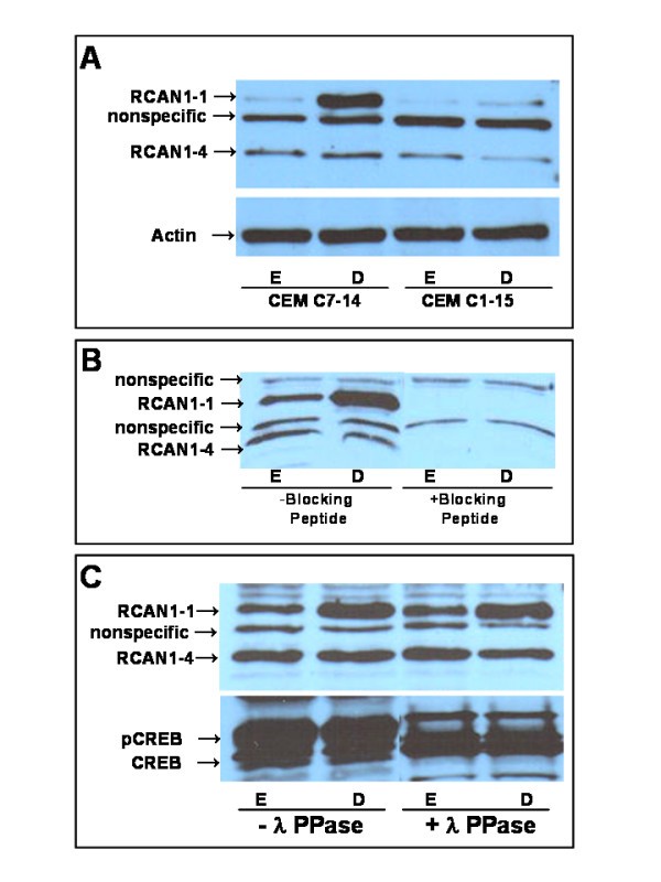 figure 3_47