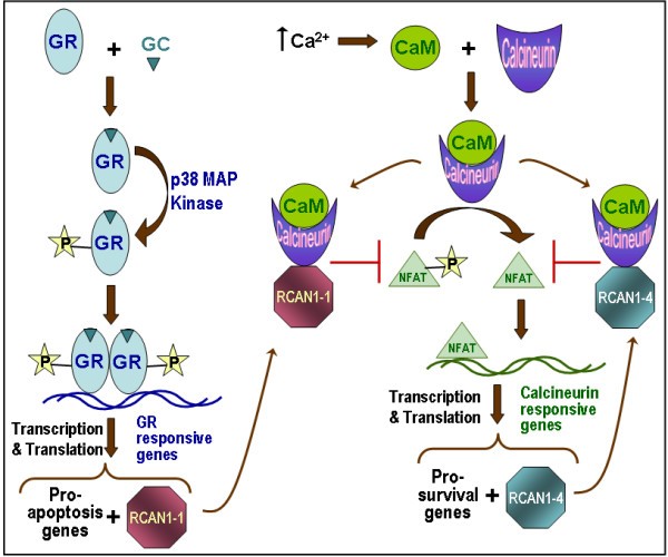 figure 6_47