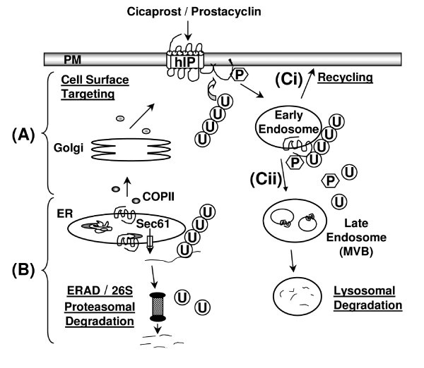 figure 12_48