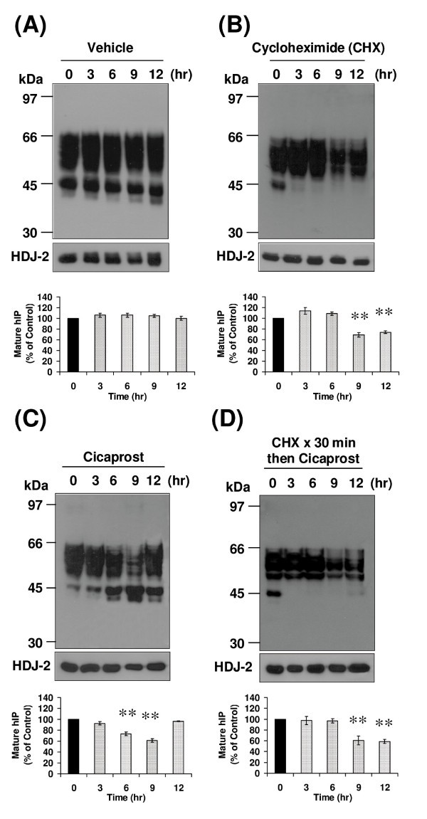 figure 2_48