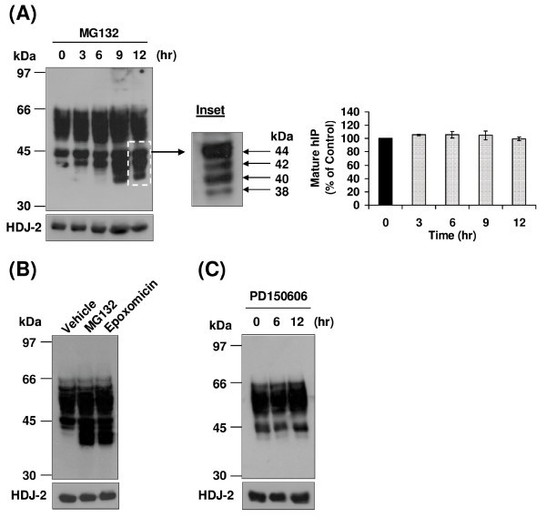 figure 4_48