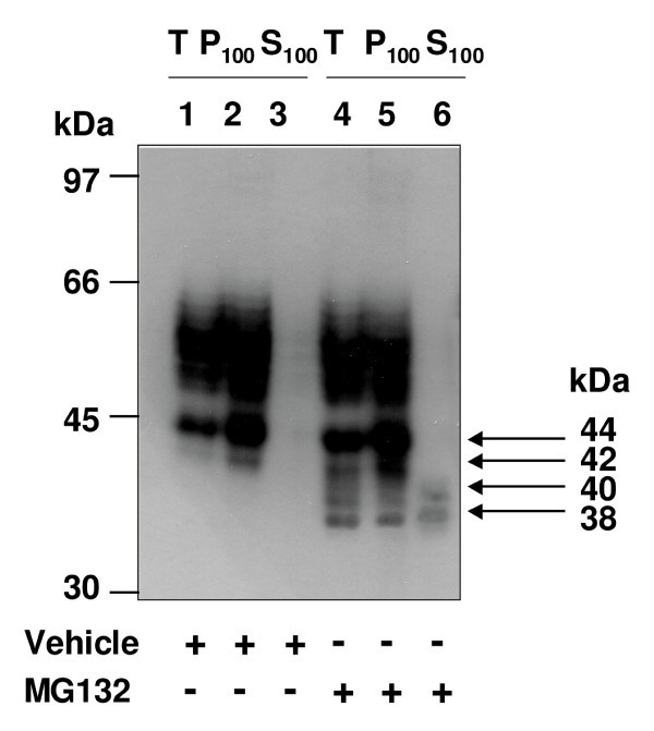 figure 7_48