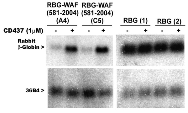 figure 1_61