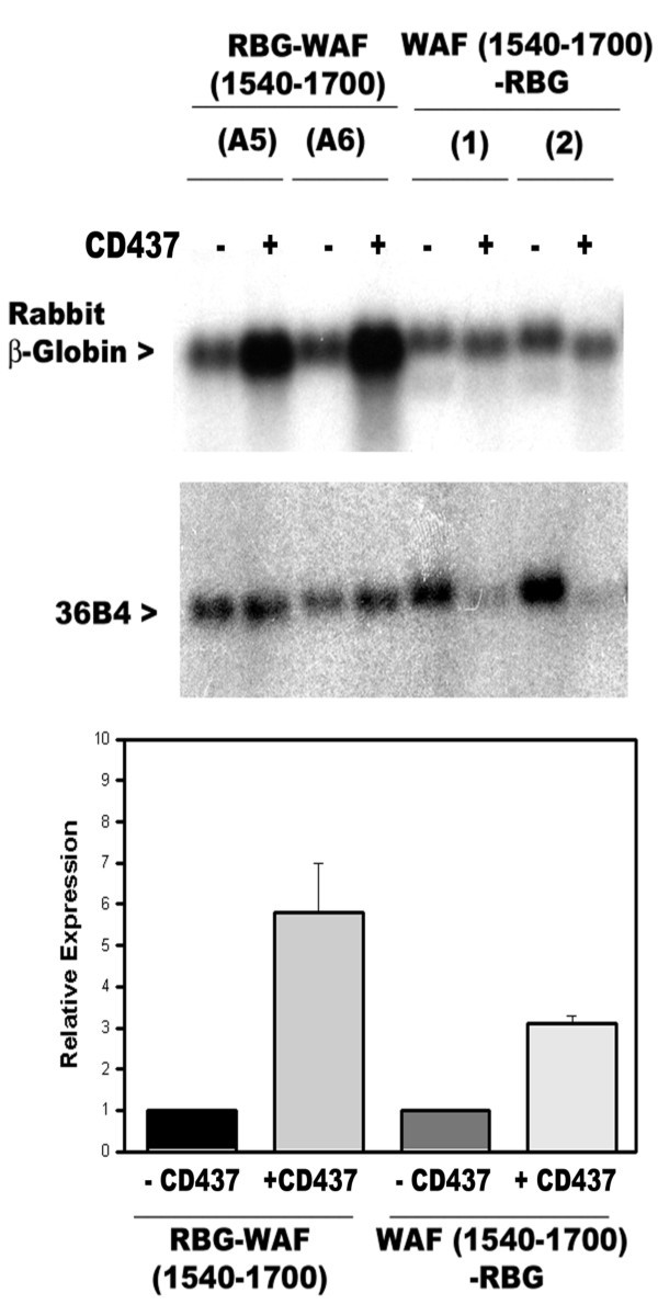 figure 3_61