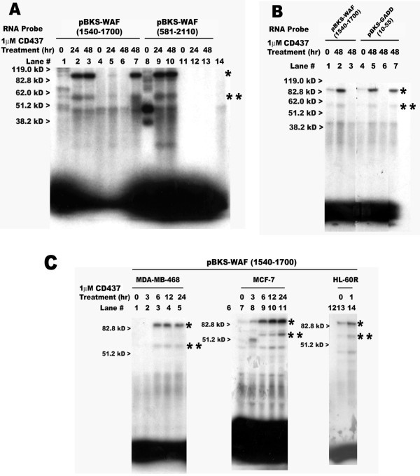 figure 4_61