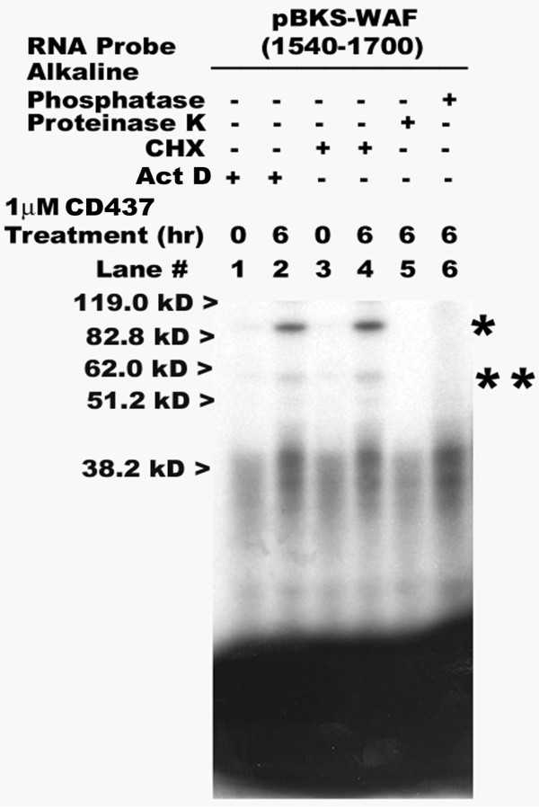 figure 5_61