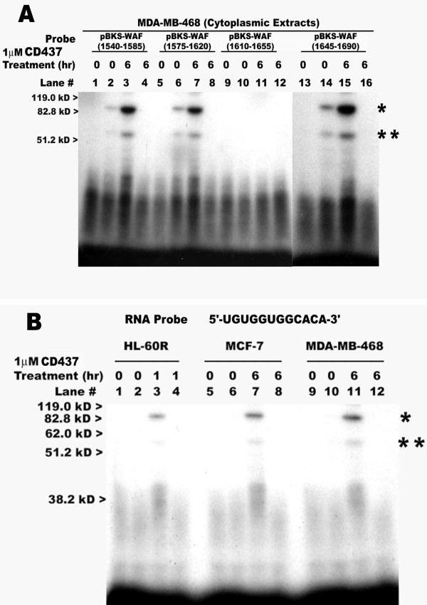 figure 6_61