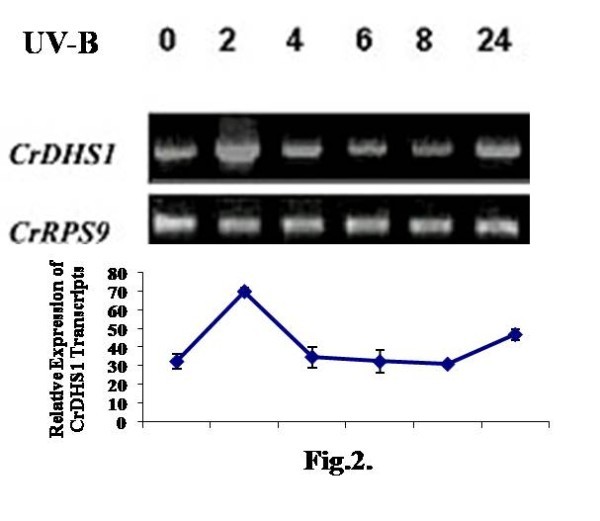 figure 2_62