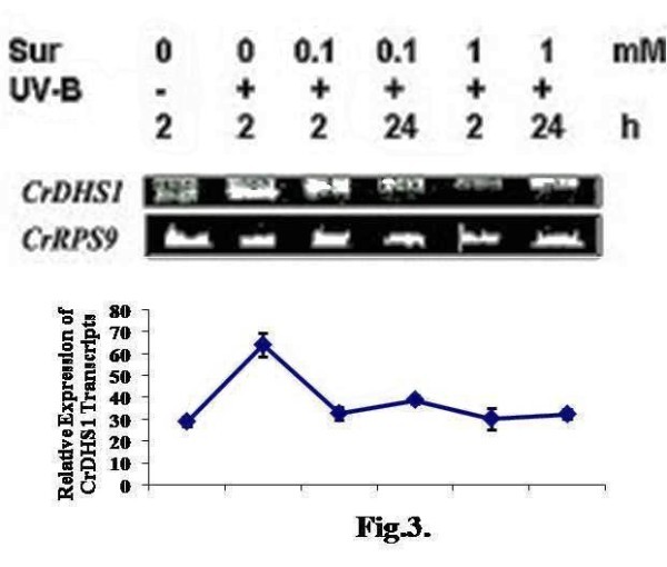 figure 3_62