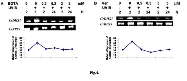 figure 4_62