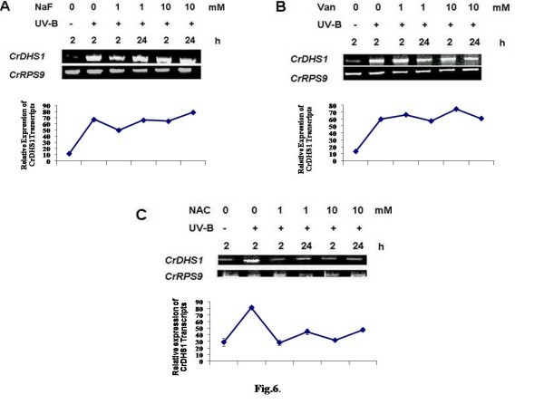 figure 6_62