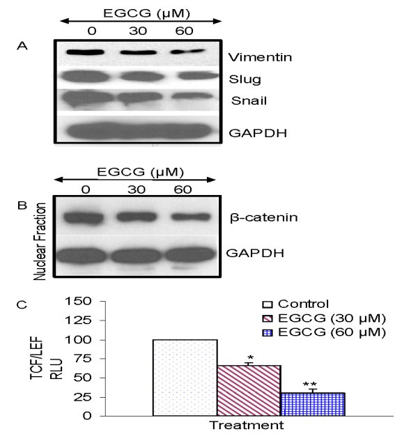 figure 6_63