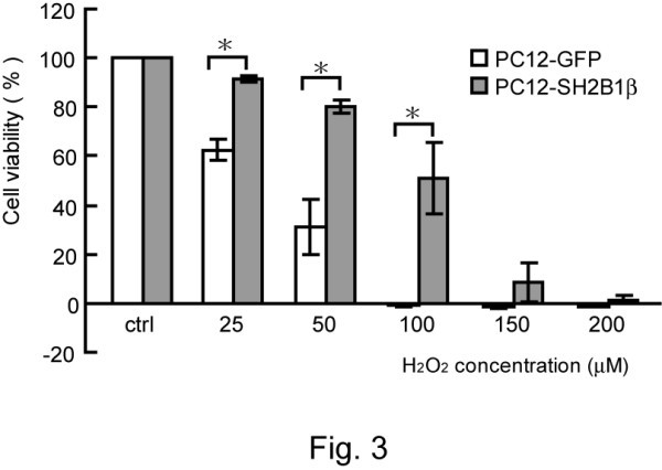 figure 3_66