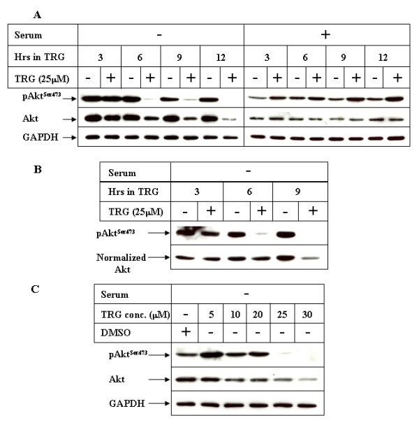 figure 4_69