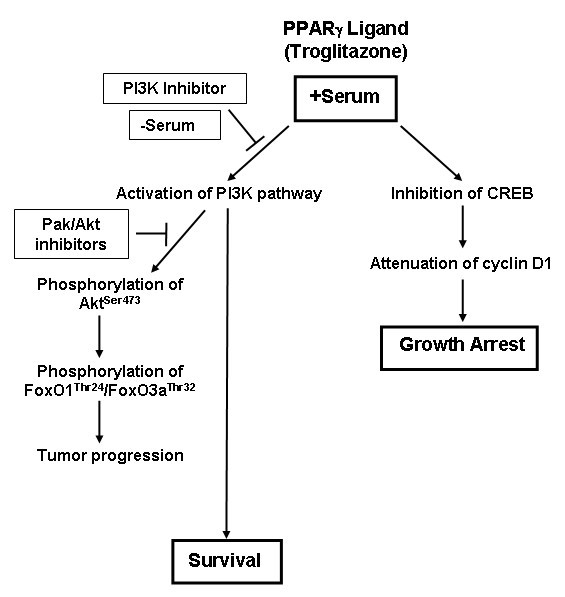 figure 9_69